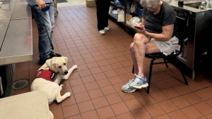 Illustration : "La visite très attendue d'un chien de thérapie au centre pour sans-abris leur redonne le moral et les aide à oublier la canicule"