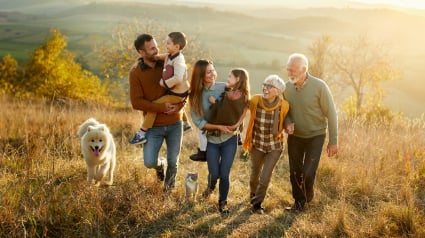 Illustration : Avec « Family&Cie » de Solly Azar, assurez les frais de santé de toute votre famille, notamment de votre chat et de votre chien