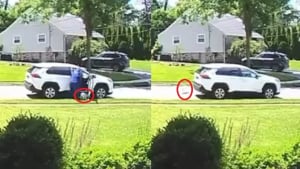 Illustration : Une automobiliste abandonne son chiot devant une maison dont la caméra de surveillance filme la scène