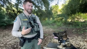 Illustration : Un garde forestier et son chien sauvent un randonneur perdu depuis 10 jours dans les montagnes