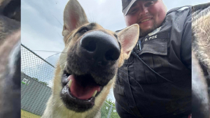 Illustration : Un policier sauve et adopte une chienne ayant klaxonné pour qu'on la sorte de la voiture surchauffée où elle était enfermée