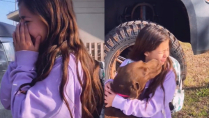 Illustration : "Les pleurs bouleversants d’une adolescente retrouvant son chien tant aimé après un an de séparation (vidéo)"