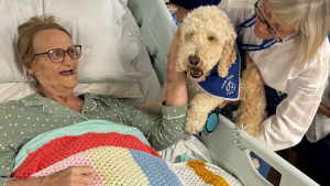 Illustration : "Sa carrière de chien de thérapie ne fait que débuter, mais Ted apporte déjà de la joie aux patients qu'il visite"