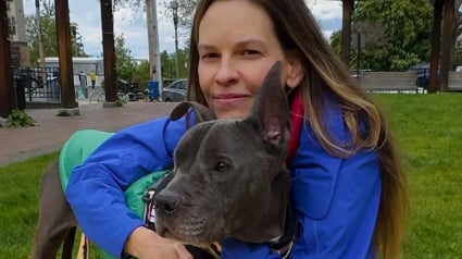 Illustration : L'actrice Hilary Swank partage un moment de bonheur et de complicité avec une chienne de refuge pour l'aider à trouver une famille après 2 ans d'attente