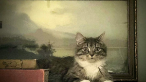 Illustration : 18 photos montrant que les chats peuvent être de véritables artistes