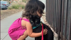 Illustration : "La douce interaction de ce félin avec une petite fille prouve qu’il est fait pour être chat de thérapie (vidéo)"