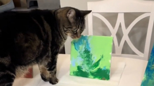 Illustration : "Ce chat tigré explore son côté artistique en participant à une activité de peinture avec ses frères et sœurs à fourrure (vidéo)"