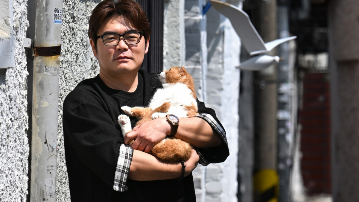 Illustration : "Cet homme au métier insolite par à la recherche des chats disparus dans sa ville"