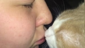 Illustration : Le bonheur immense d'une femme adoptant le chat de sa défunte soeur 5 ans après et constatant qu'il la reconnaît (vidéo)