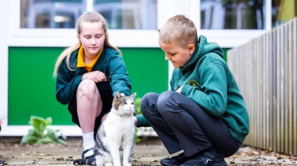 Illustration : Adoptée par une école après une vie d’errance, cette chatte âgée apporte réconfort et soutien aux élèves qui en ont besoin (vidéo)