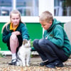 Illustration : Adoptée par une école après une vie d’errance, cette chatte âgée apporte réconfort et soutien aux élèves qui en ont besoin (vidéo)