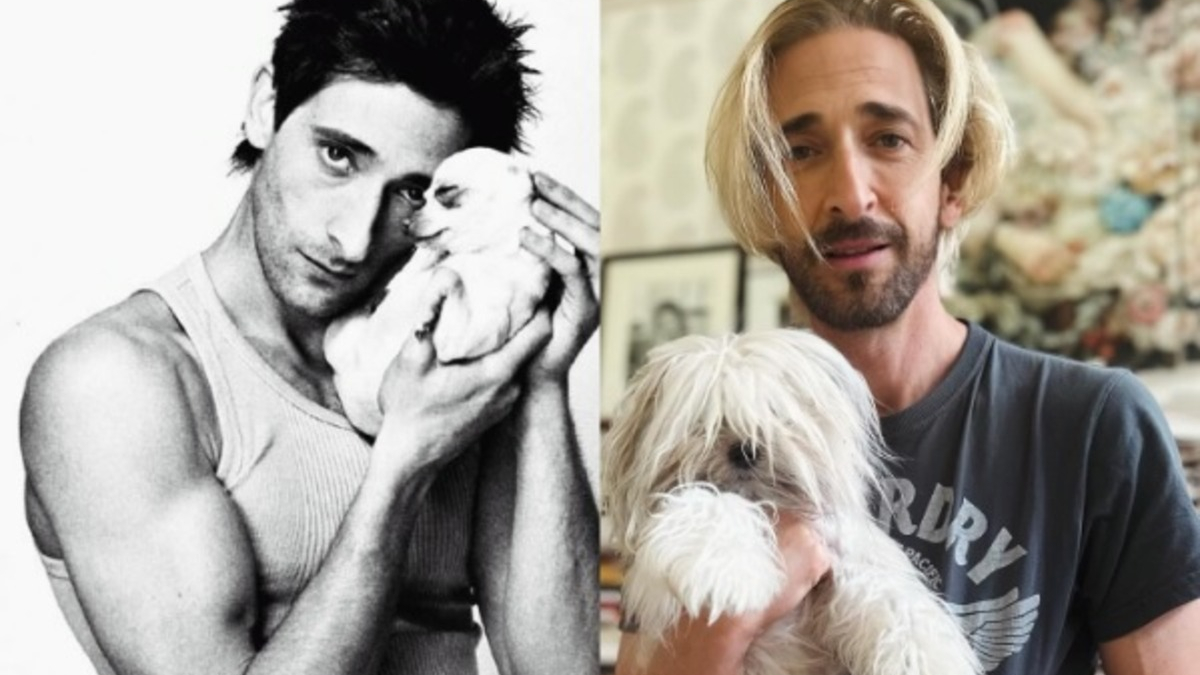 Illustration : "L'acteur Adrien Brody fier de sa ressemblance avec ses chiens s'en amuse sur Instagram"