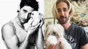 Illustration : "L'acteur Adrien Brody fier de sa ressemblance avec ses chiens s'en amuse sur Instagram"