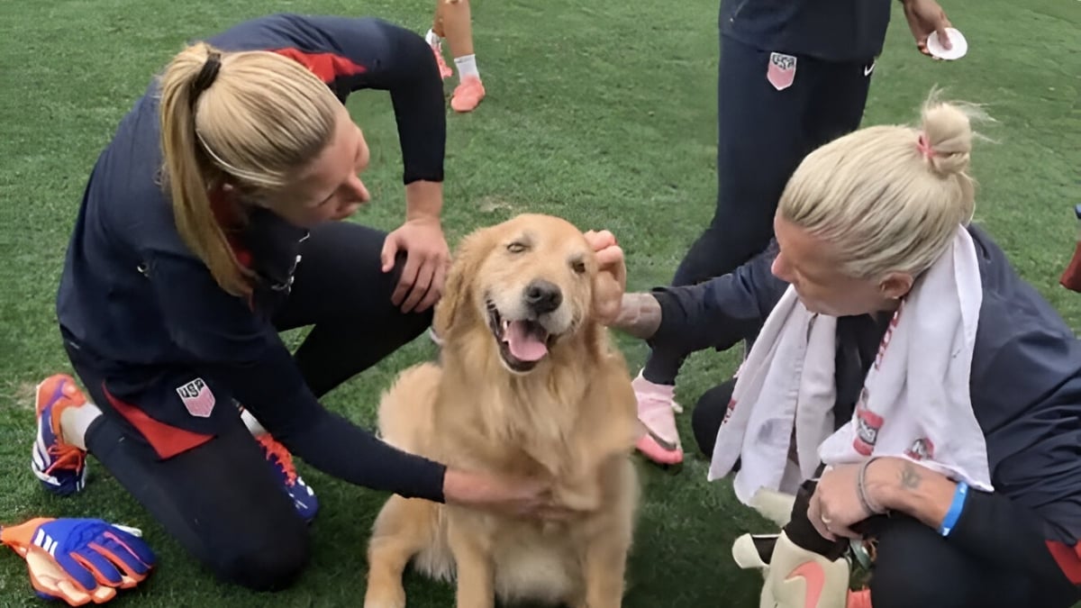 Illustration : "Une visite surprise de chiens thérapeutiques aide une équipe olympique féminine de football à se relaxer (vidéo)"