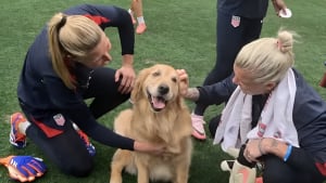 Illustration : "Une visite surprise de chiens thérapeutiques aide une équipe olympique féminine de football à se relaxer (vidéo)"