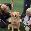 Illustration : Une visite surprise de chiens thérapeutiques aide une équipe olympique féminine de football à se relaxer (vidéo)