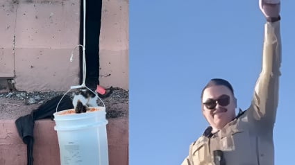 Illustration : Un policier sauve un chaton en détresse sur un pont en utilisant un seau et une corde