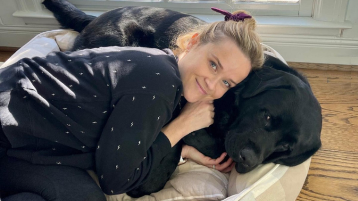 Illustration : "Reese Witherspoon est en deuil, l'actrice annonce la disparition de son chien dont la 