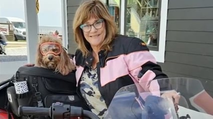 Illustration : Une femme prend son chien à moto et s’évade régulièrement pour surmonter la perte de son mari