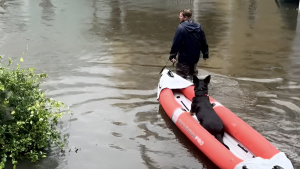 Illustration : "Un maître dévoué brave l’inondation pour permettre à son chien de faire ses besoins sur la terre ferme (vidéo)"