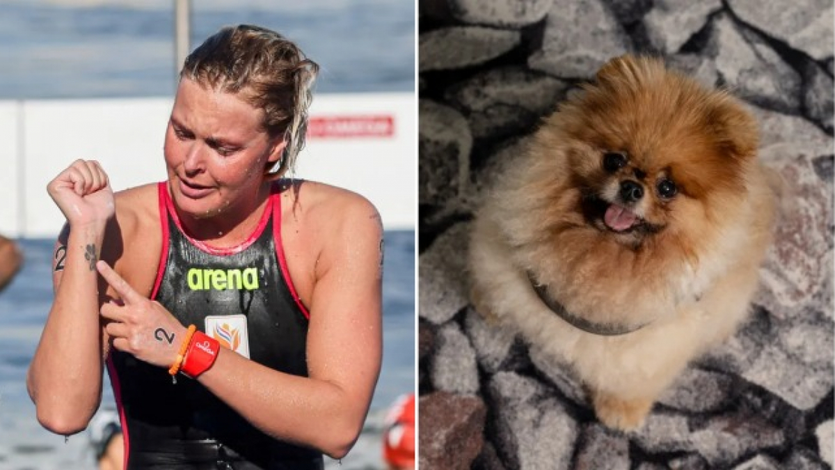 Illustration : "Après avoir songé à tout arrêter après le décès de son chien, une nageuse olympique gagne la médaille d’or et lui dédie sa victoire (vidéo)"