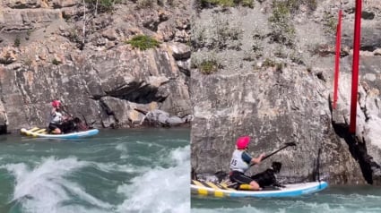 Illustration : Dans l’eau pour une compétition de paddle, une femme découvre un chien au bord de la noyade et ne perd pas une seconde (vidéo) 