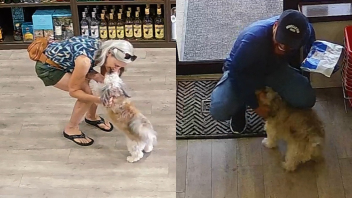 Illustration : "Ce chien réserve un accueil des plus chaleureux à tous ceux entrent dans le magasin de sa maîtresse (vidéo) "