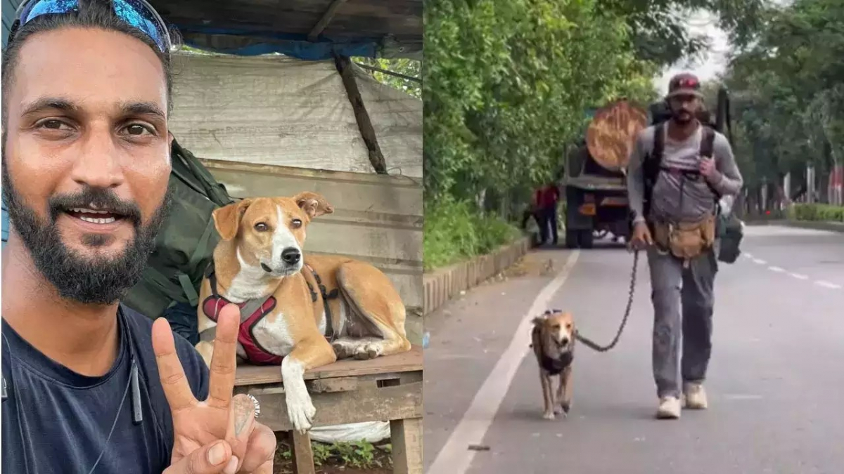 Illustration : "Lors d’un voyage initiatique, un homme et son chien parcourent des milliers de kilomètres à pied et apprennent de merveilleuses leçons de vie (vidéo)"