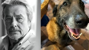 Illustration : Loubo le chien d'Alain Delon "a sa maison et sa famille" et ne sera donc pas euthanasié, assure l'entourage de l'acteur décédé