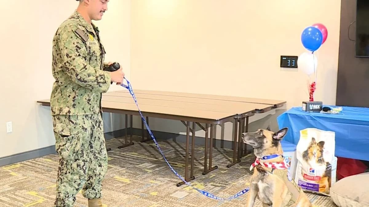 Illustration : "Un chien réformé de l'armée et son maître se retrouvent après un an et demi de séparation grâce à une association"