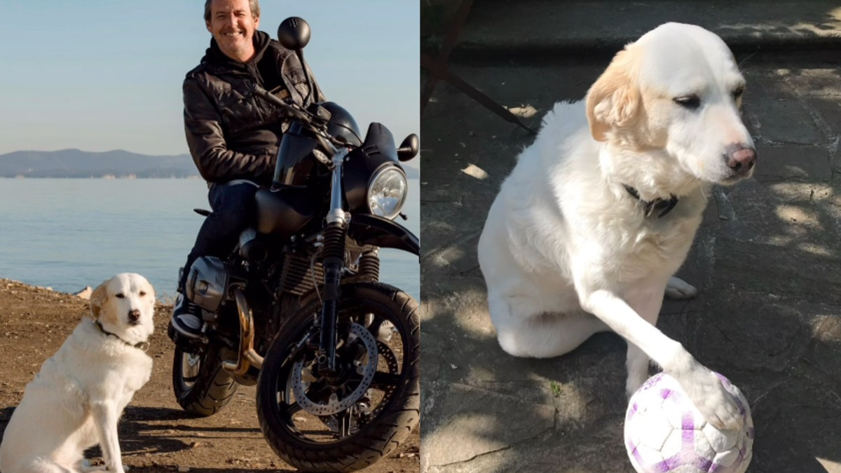 Illustration : "Jean-Luc Reichmann est en deuil, l'animateur annonce le décès de sa chienne Donna qui 