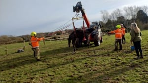 Illustration : Des pompiers effectuent une opération de 3 heures pour sauver un cheval de 37 ans, sa propriétaire lance une collecte de fonds pour les remercier