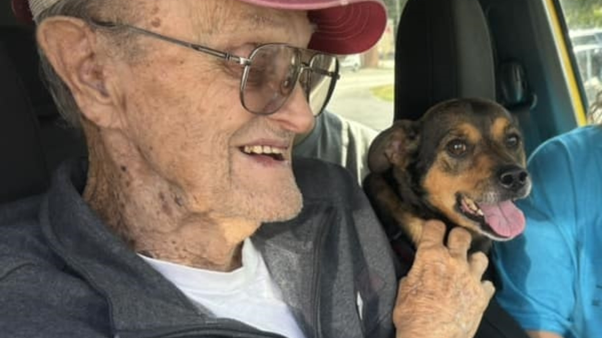 Illustration : "Un homme de 89 ans retrouve le sourire après le retour de sa chienne disparue 9 jours plus tôt"