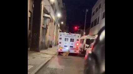 Illustration : D’une loyauté sans faille, ce chien fidèle poursuit l’ambulance qui transporte son maître sur plusieurs kilomètres (vidéo) 