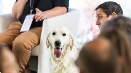 Illustration : À l'Animal Expo – Animalis Show, apprenez à mieux connaître vos animaux de compagnie grâce à des ateliers aussi ludiques qu’enrichissants