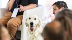 Illustration : À l'Animal Expo – Animalis Show, apprenez à mieux connaître vos animaux de compagnie grâce à des ateliers aussi ludiques qu’enrichissants