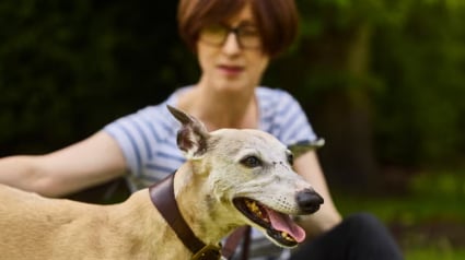 Illustration : Une femme réalise le rêve des propriétaires en se mettant dans la peau de son chien pendant une journée