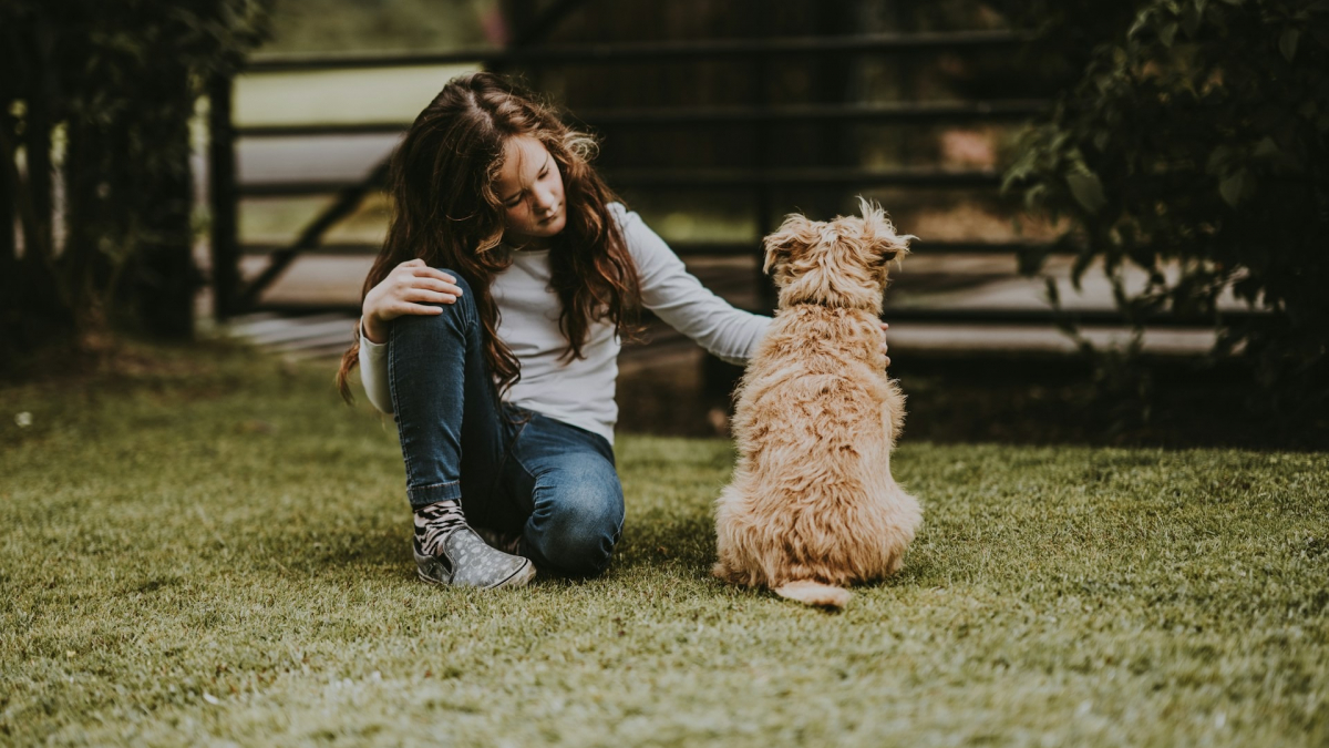 Illustration : "Un programme expérimental permet à de jeunes enfants atteints du cancer d’entretenir un échange épistolaire avec un chien ou un chat dans la même situation"