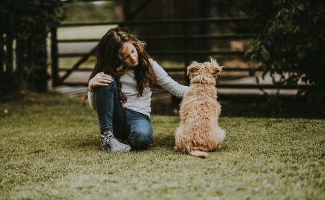 Un programme expérimental permet à de jeunes enfants atteints du cancer d’entretenir un échange épistolaire avec un chien ou un chat dans la même situation