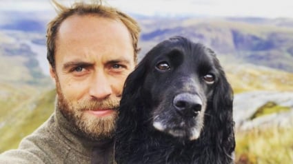 Illustration : James Middleton, le frère de la princesse de Galles, Kate Middleton, rend hommage à Ella, la chienne qui lui a sauvé la vie (vidéo)