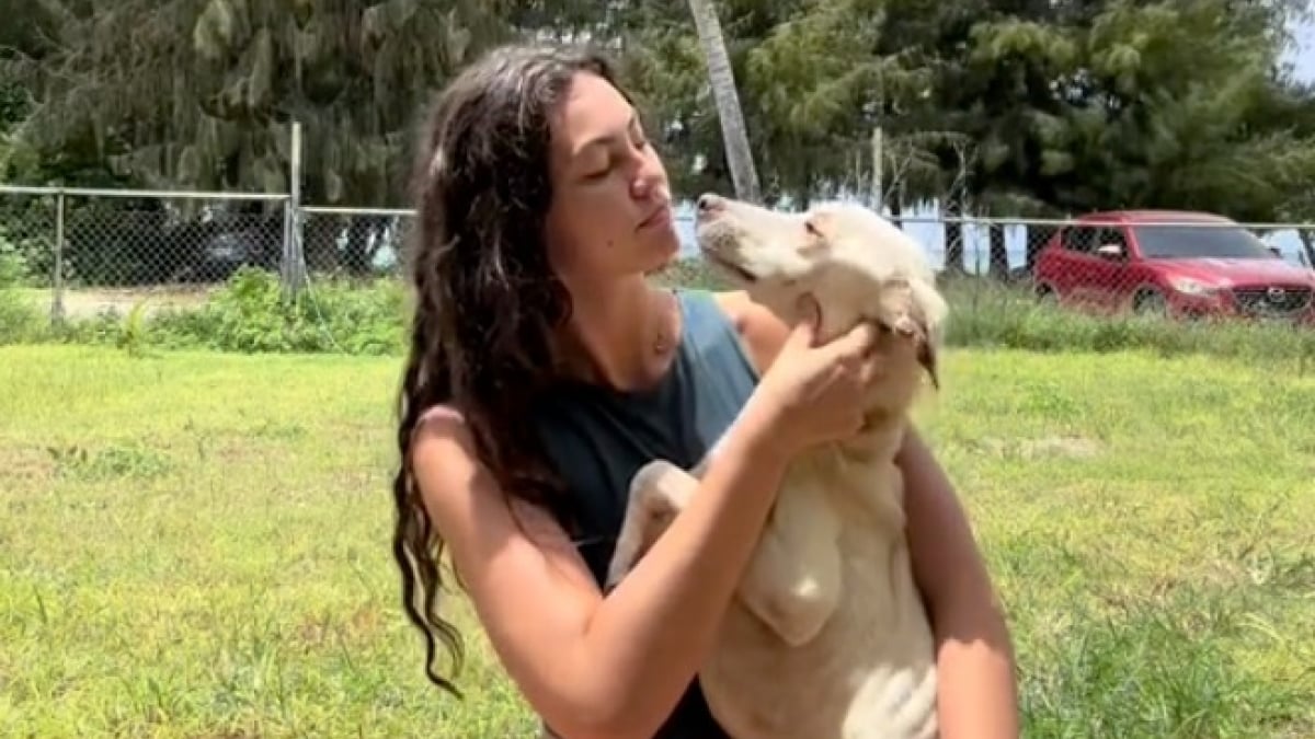 Illustration : "Le cœur brisé par un chien squelettique attaché à un arbre, une jeune sauveteuse est déterminée à lui offrir une seconde chance (vidéo)"