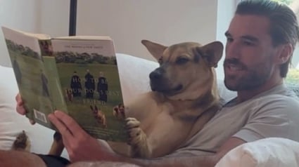 Illustration : Ce chien adore se blottir contre son maître pour qu’il lui lise une histoire (vidéo)