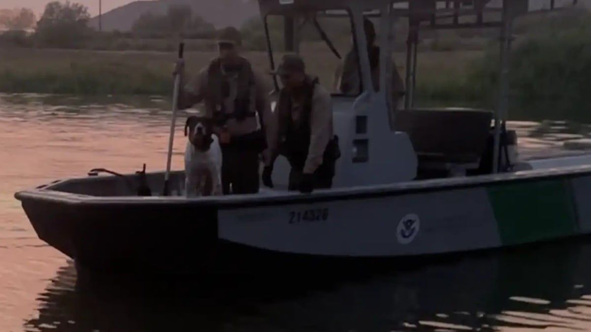 Illustration : "Recherchant désespérément sa chienne tombée dans un fleuve, il retrouve le sourire grâce aux gardes-frontières patrouillant 2 km plus loin"