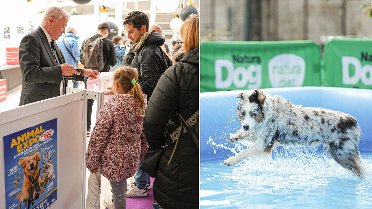 Illustration : "Bilan d'Animal Expo – Animalis Show 2024 : affluence record et activités passionnantes ont marqué cette 33e édition plus familiale que jamais"