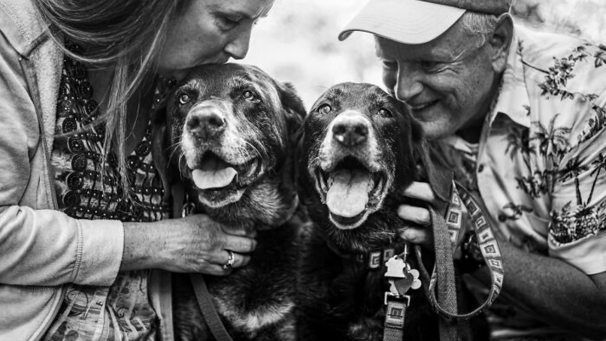 Illustration : "16 photos montrant l’amour incommensurable entre des propriétaires et leur chat ou leur chien"