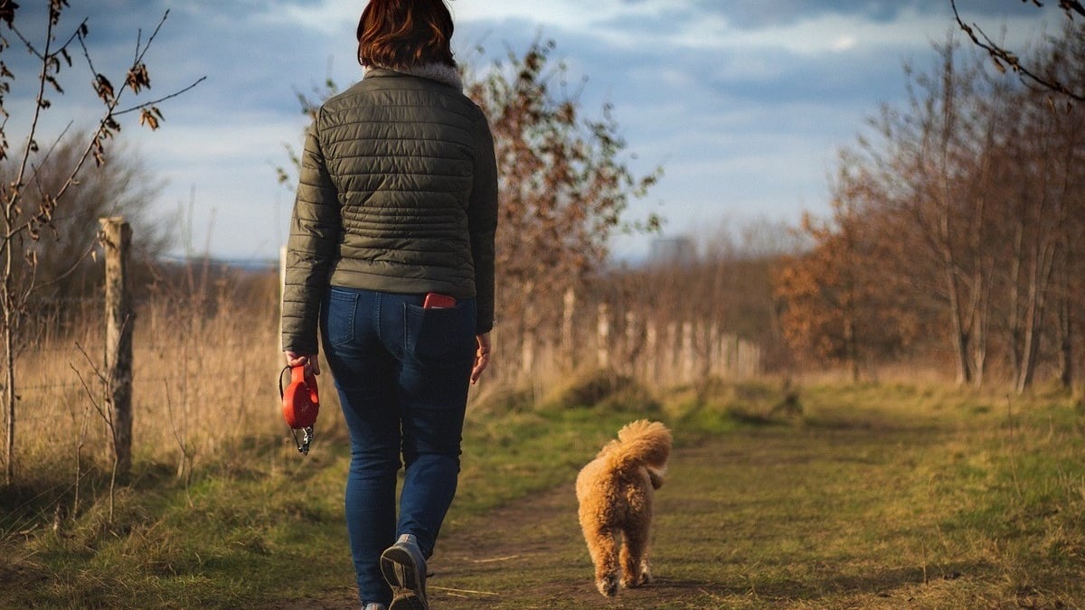 Illustration : "Un chien en promenade défend courageusement sa maîtresse contre deux individus armés de couteaux qui tentaient de le voler"