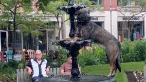 Illustration : "Un chien en quête de fraîcheur se transforme en statue pour ne faire qu'un avec la fontaine (vidéo)"