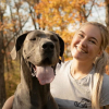 Illustration : Souffrant d’un trouble alimentaire et de plusieurs handicaps, une jeune femme peut compter sur le soutien de son chien d’assistance pour affronter le quotidien (vidéo)