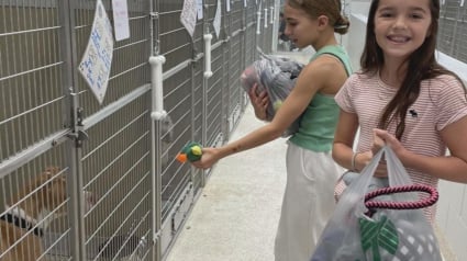 Illustration : L'initiative touchante de 2 fillettes ayant vendu de la limonade pour offrir des jouets aux chiens d'un refuge local