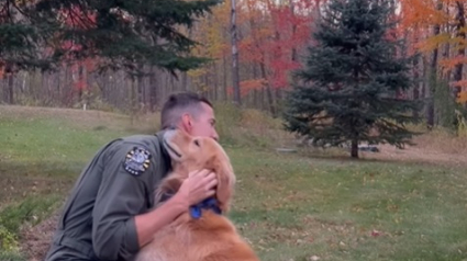 Illustration : Le retour de ce militaire à la maison met son Golden Retriever en joie ! (vidéo)